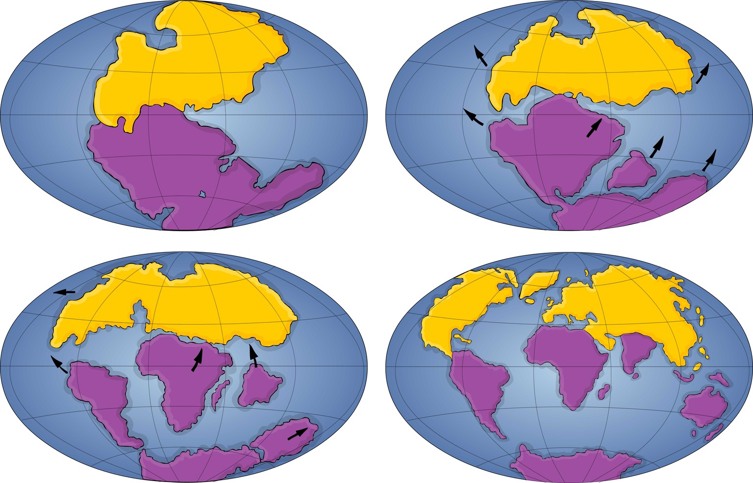 So brach Gondwana (violett gefärbt) auseinander: Zuerst trennte sich Indien von Ostafrika (oben rechts), dann Südamerika und Afrika (unten links). Seither entfernt sich Amerika immer noch von der Alte ...