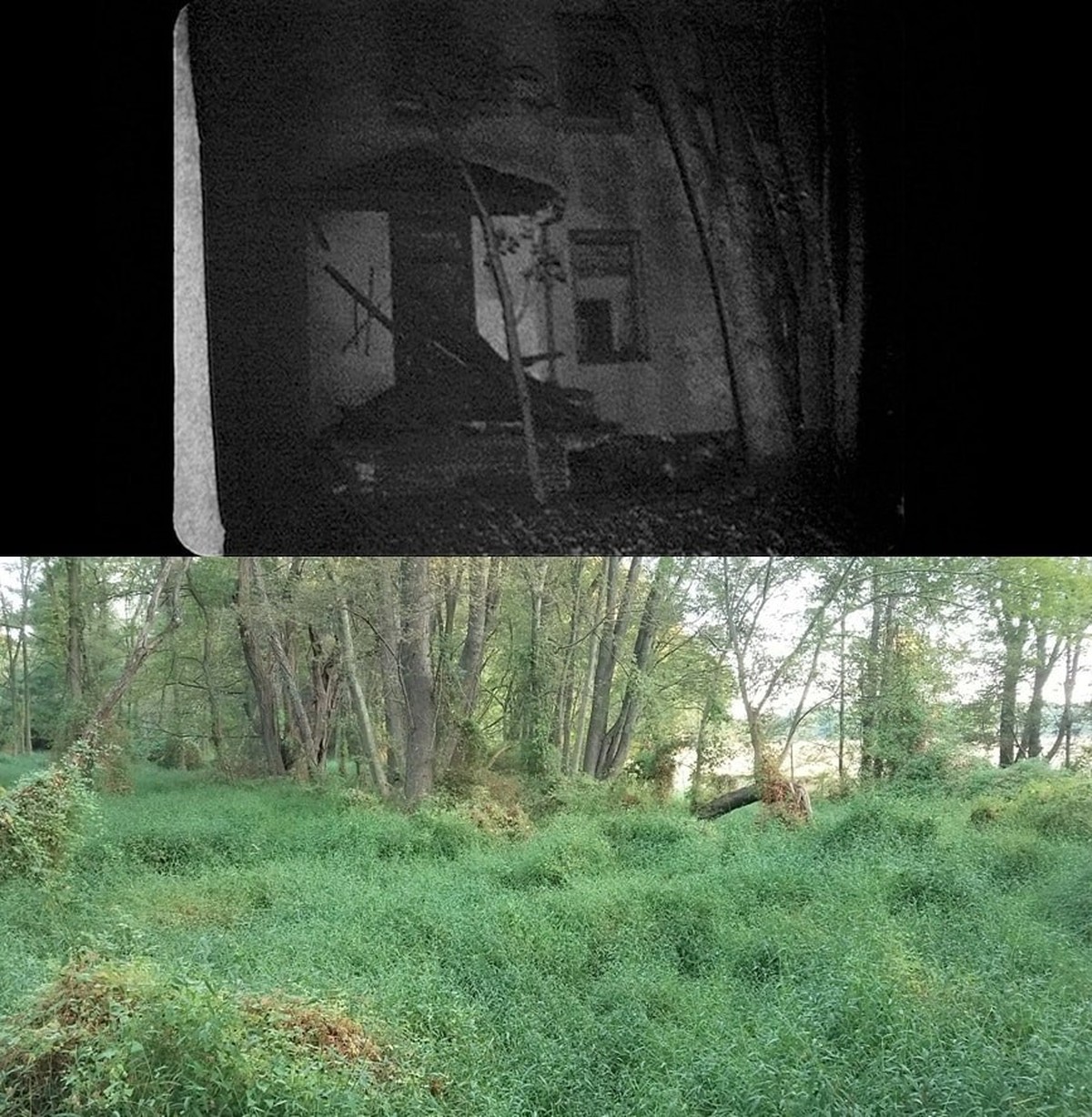 The Blair Witch Project