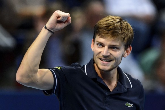 Goffin ist einer der Aufsteiger der Saison 2014.