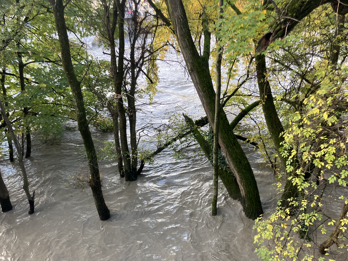 Crue de l'Arve à Genève