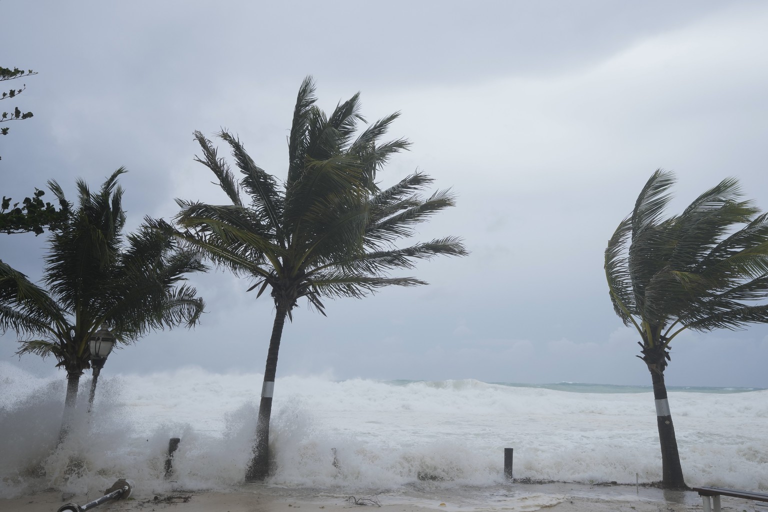 Waves batter palm trees as Hurricane Beryl passes through Hastings, Barbados, Monday, July 1, 2024. (AP Photo/Ricardo Mazalan)