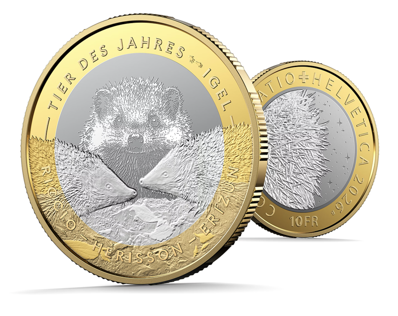 10-Franken-Bimetallmünze «Tier des Jahres: der Igel» 2026 | Swissmint