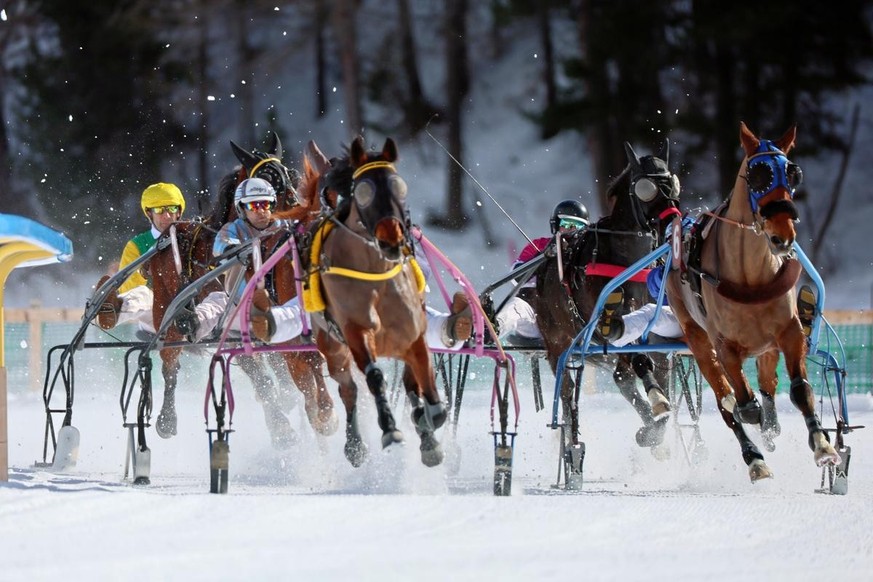 ST. MORITZ, 20FEB22 - Das Feld mit Baron Frontline, Daisy de la Vallee, Cora du Chatelet, Sieger Blackhawk mit Walter Theiler und Brutus de Noyelles (vlnr) im Trabrennen ‘Preis befair partners AG’ am  ...