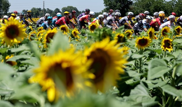 &lt;p&gt;Diese Fahrer haben 2025 an der Tour de France ein Teilstück gewonnen:&lt;/p&gt;