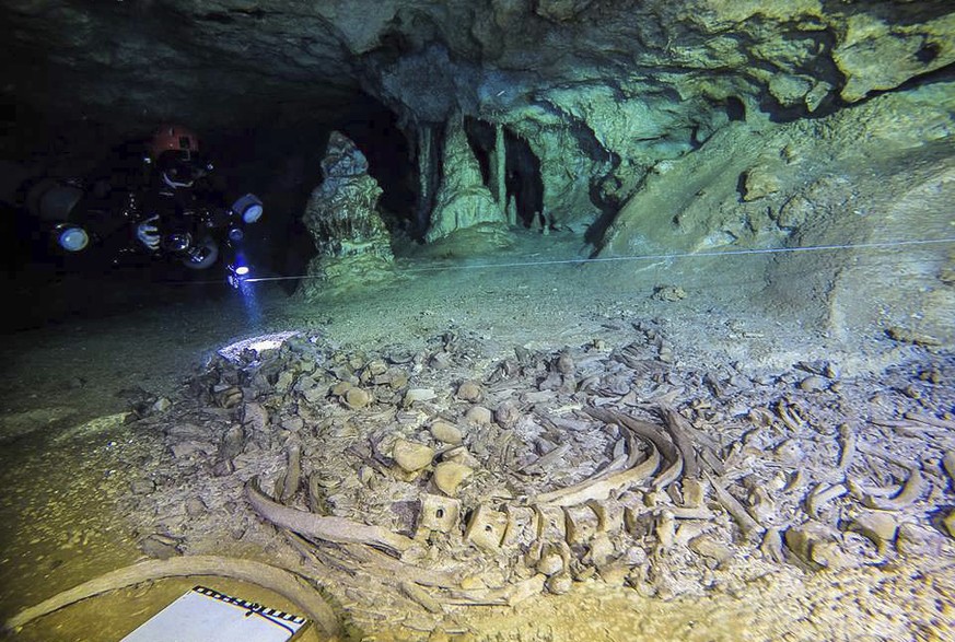 This undated photo released by Mexico&#039;s National Anthropology and History Institute (INAH) shows divers from the Great Mayan Aquifer project, left, exploring the Sac Actun underwater cave system, ...