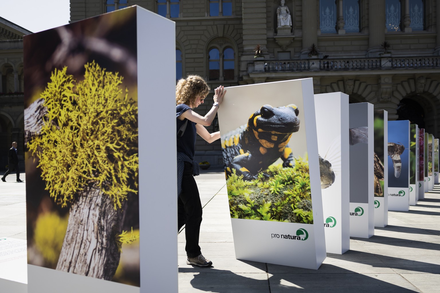 Mitglieder von Pro Natura stellen Dominosteine mit Bildern von Tieren und Pflanzen auf, waehrend einer Aktion, die den Dominoeffekt der Biodiversitaetskrise visualisiert, am Montag, 22. Mai 2023 auf d ...