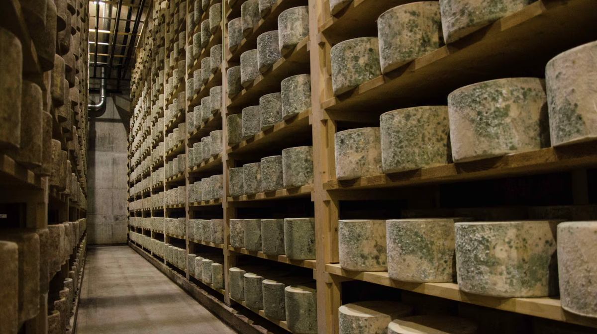 https://www.nealsyarddairy.co.uk/cdn/shop/files/Westcombe_600_x_450.png?v=1729860353&amp;width=1080