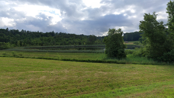 Der Barchetsee