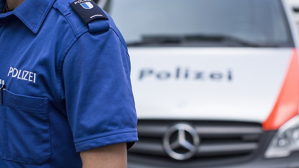 Am frühen Dienstagmorgen musste die Luzerner Polizei zu einem Unfall auf der Autobahn A2 bei Sursee ausrücken. (Symbolbild)