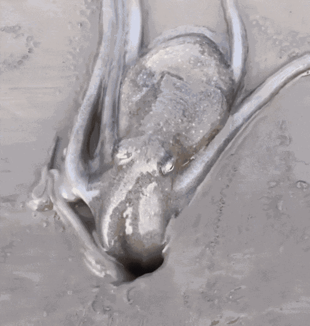 Animiertes GIF