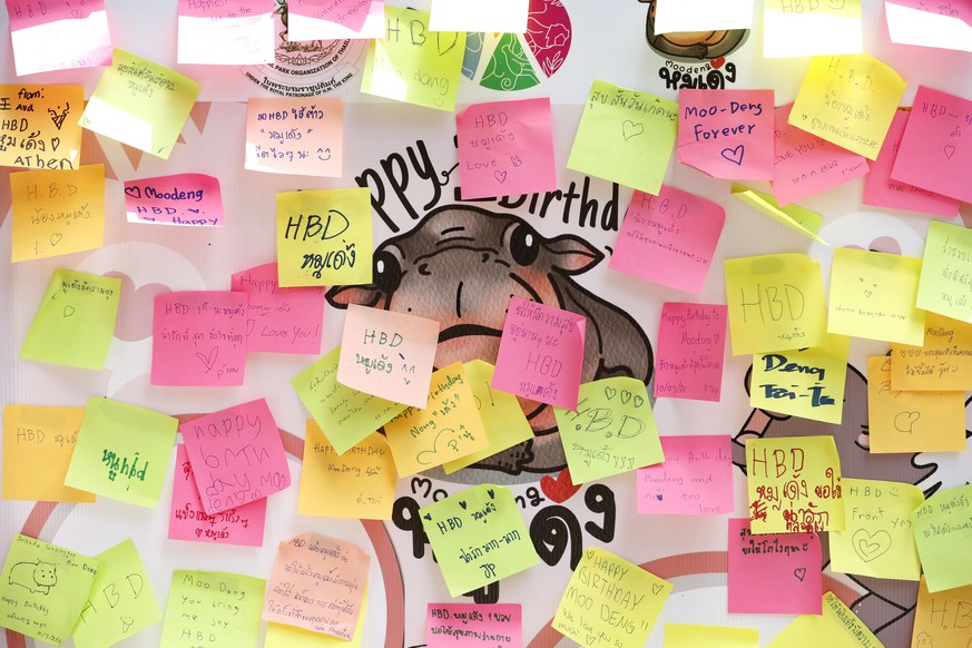 epa12228709 Sticky notes with birthday wishes from visitors are seen during the first birthday celebrations of the world?s most famous one-year-old female pygmy hippopotamus, Moo Deng, at Khao Kheow O ...