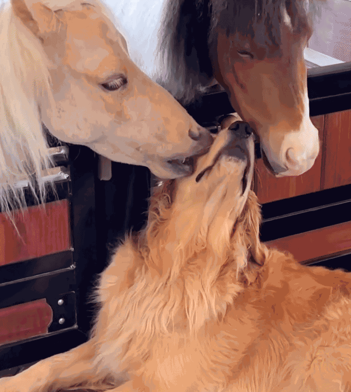 Animiertes GIF
