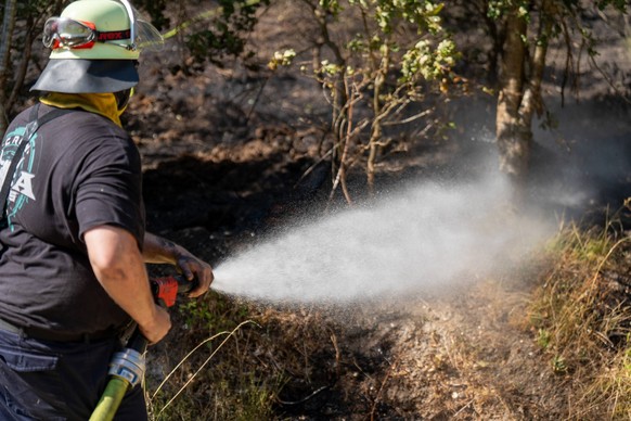 Feuer in Wald und in Wohngebiet fordert weit �ber 300 Einsatzkr�fte Am 10.08.2026 brach gegen 13:15 Uhr zwischen Bad Schwalbach-Adolfseck und Hohenstein-Breithardt ein Waldbrand aus, der sich rasch au ...