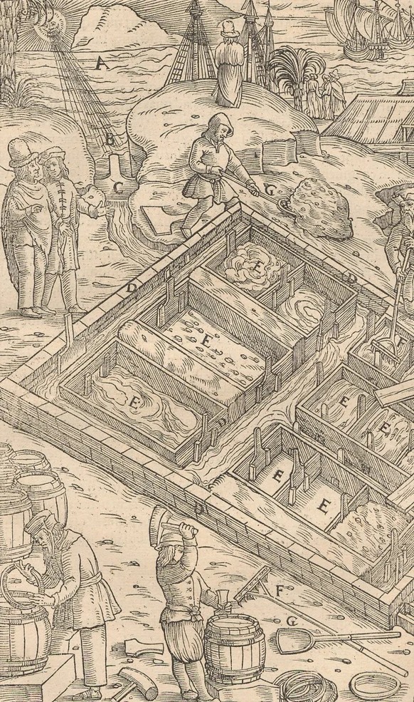 Salzgewinnung durch Verdunstung von Meerwasser, aus «Georgius Agricola: De re metallica libri XII», 1566.
http://doi.org/10.7890/ethz-a-000466430