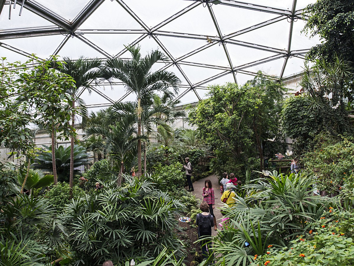 Le Papiliorama, � Chi�tres (FR), deuxi�me lieu touristique le plus visit� du canton de Fribourg, se trouve dans le district du Lac, qui fait l'objet d'un ouvrage (archives).