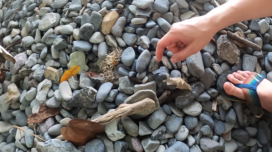 Youtube-Reality-Survival-Show 7 vs. Wild: Teilnehmer Joris