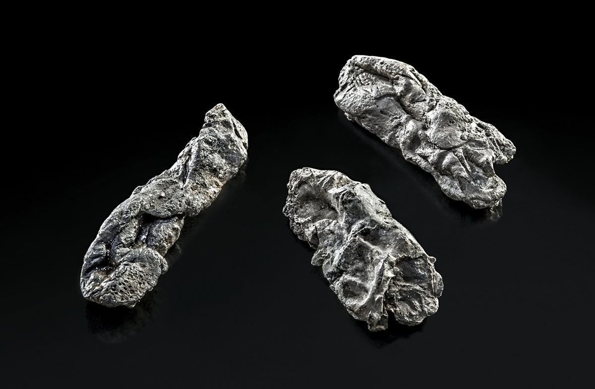 Birkenpechstücke mit Zahnabdrücken aus der Pfahlbausiedlung Hornstaad am Bodensee.
https://bawue.museum-digital.de/singleimage?imagenr=21916