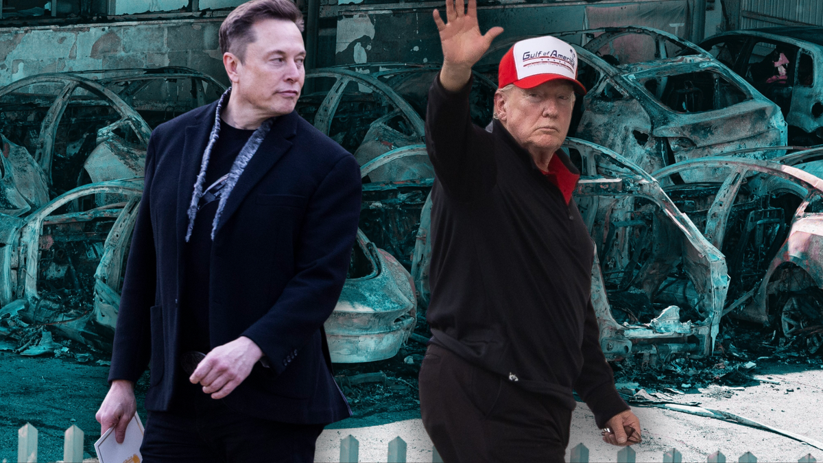 Tesla a subit de plein fouet le rapprochement entre Musk et Trump