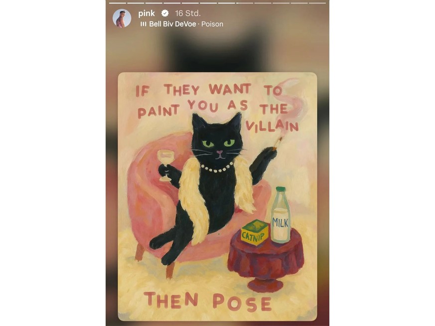 «Wenn sie dich als Bösewicht darstellen wollen, dann posiere»: Mit solchen Instagram-Storys reagierte Pink zunächst auf die Kritik.