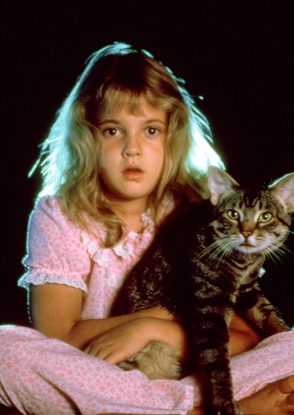 CATS EYE, Drew Barrymore, 1985, cat MGM/Courtesy Everett Collection ACHTUNG AUFNAHMEDATUM GESCHÄTZT PUBLICATIONxINxGERxSUIxAUTxONLY Copyright: xMGM/CourtesyxEverettxCollectionx MSDCAEY EC001