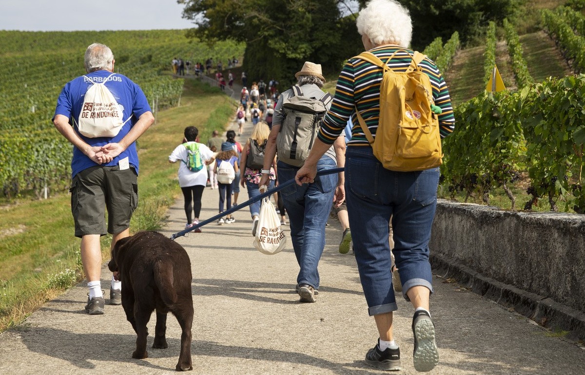 Les marcheurs marchent sur le parcours de 13,3 kilometres trace dans la campagne genevoise, lors de la 4e d'edition de la journee cantonale sur les chemins de randonnee, ce samedi 4 septembre 202 ...