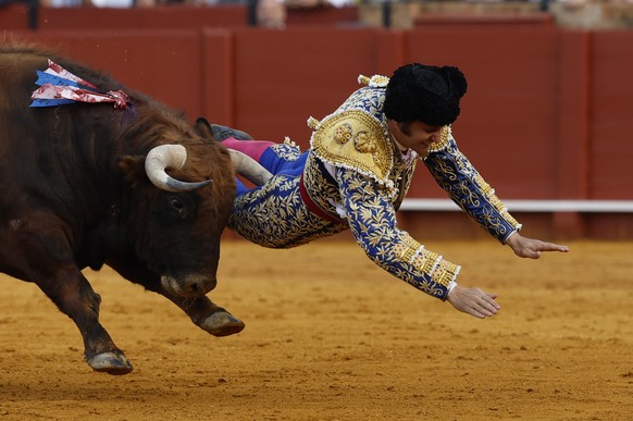 epa12903429 Spanish bullfigther Morante de la Puebla is gored by his second bull during the bullfight of the April Fair (Feria de Abril) at the Real Maestranza de Caballeria bullring in Seville, Spain ...