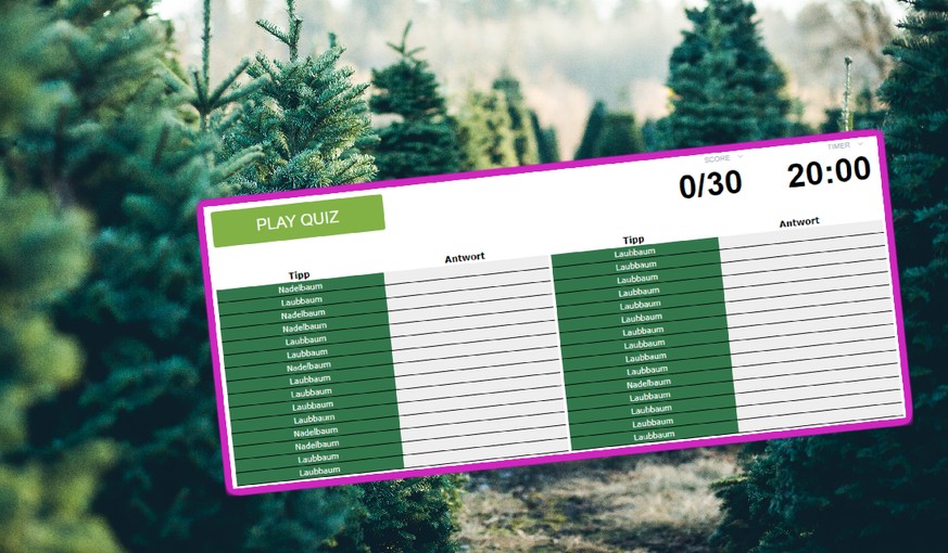 Quizzticle Kennst Du Die 30 Haufigsten Baumarten Der Schweiz Watson