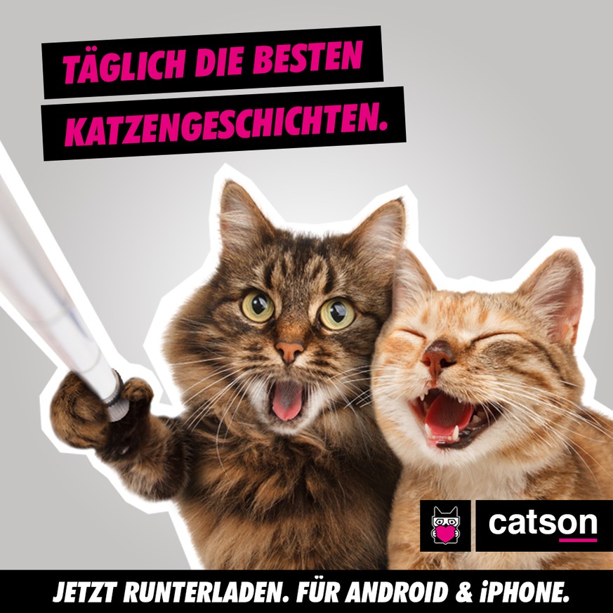 catson gibt's für <a href="https://itunes.apple.com/app/id1068116574?mt=8" target="_blank"><strong>iPhones</strong></a> und <a href="https://play.google.com/store/apps/details?id=ch.fixxpunkt.catson" target="_blank"><strong>Android</strong></a>. <strike>Yeah</strike> äh, miau!