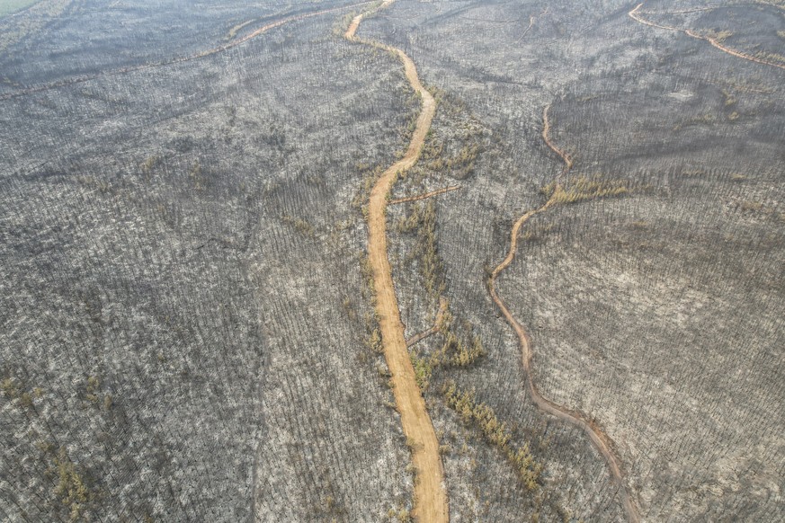An aerial view of destroyed forest near the Kemerkoy Power Plant, a coal-fueled power plant, in Milas, Mugla in southwest Turkey, Thursday, Aug. 5, 2021. A wildfire that reached the compound of a coal ...
