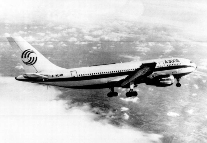 Ein Airbus des selben Typs wie die entführte Air-France-Maschine.