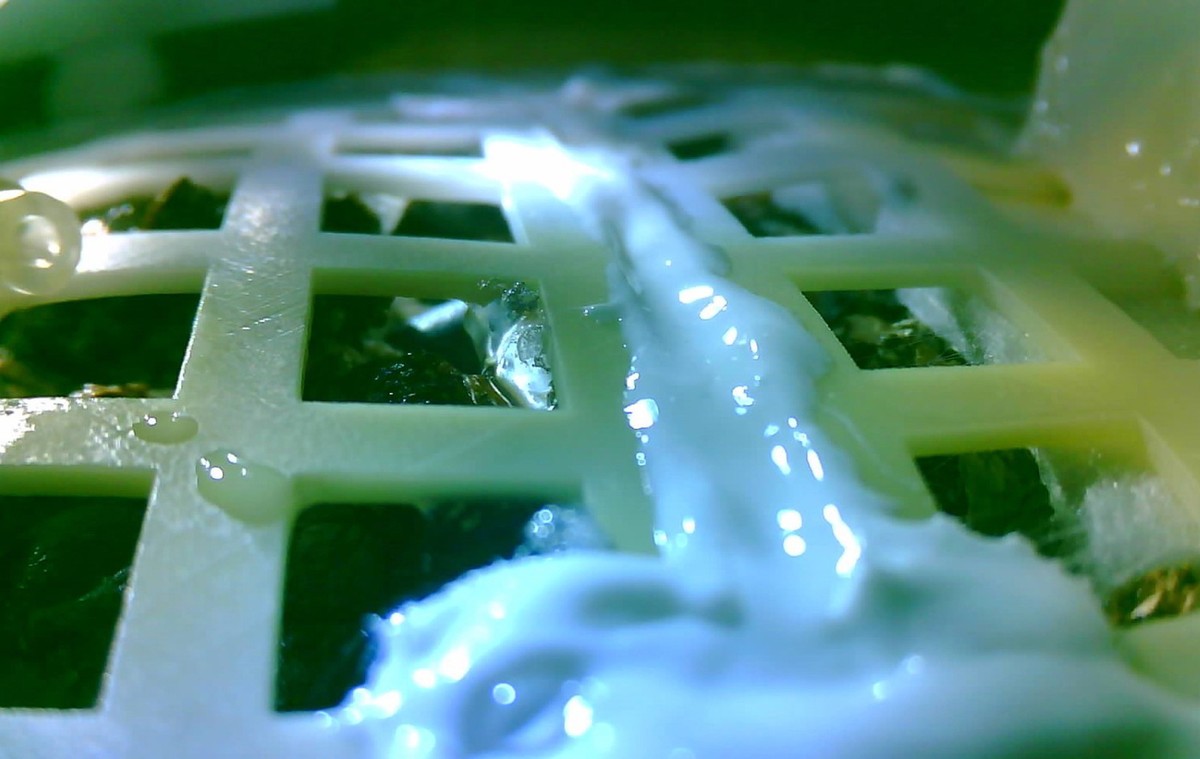 epa07286141 A handout photo made available by The Chongqing University on 15 January 2019 shows a cotton sprout growing experiment inside China's Chang'e-4 Moon probe, on the far side of the ...
