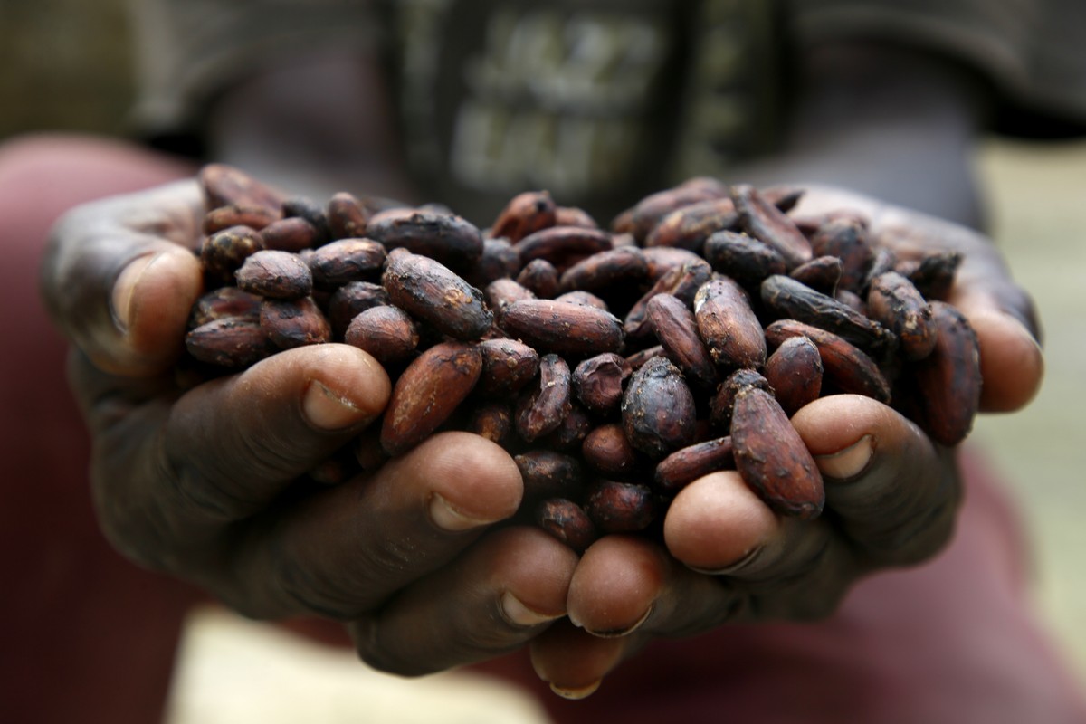 Des fèves de cacao en Côte d'Ivoire