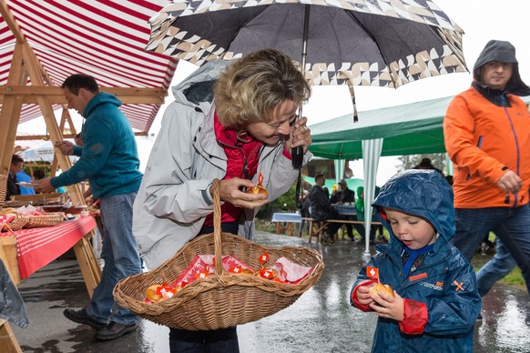 Lässt die CVP Bundesrätin Widmer-Schlumpf im Regen stehen, falls diese überhaupt noch einmal zur Wahl antritt?