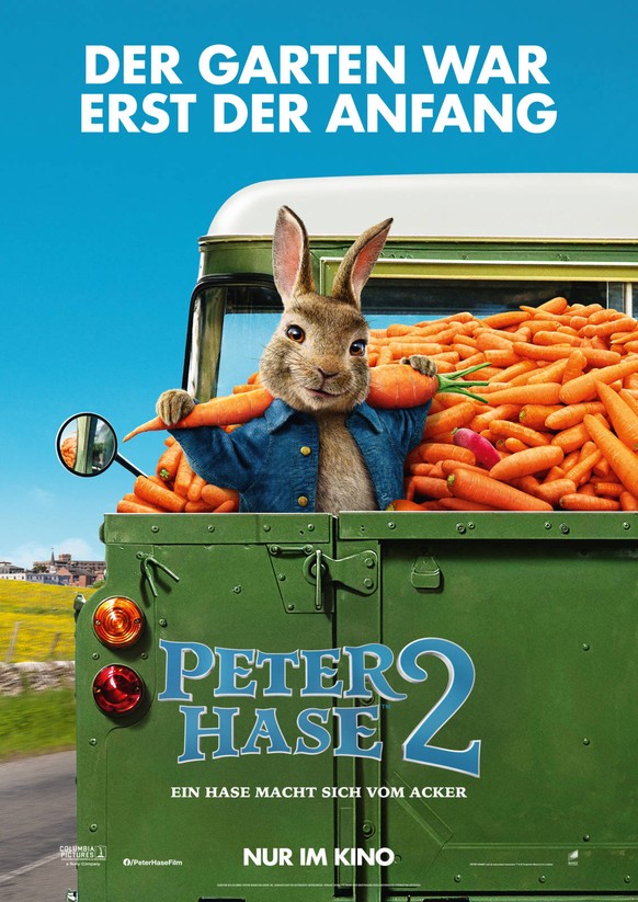 Peter Hase 2