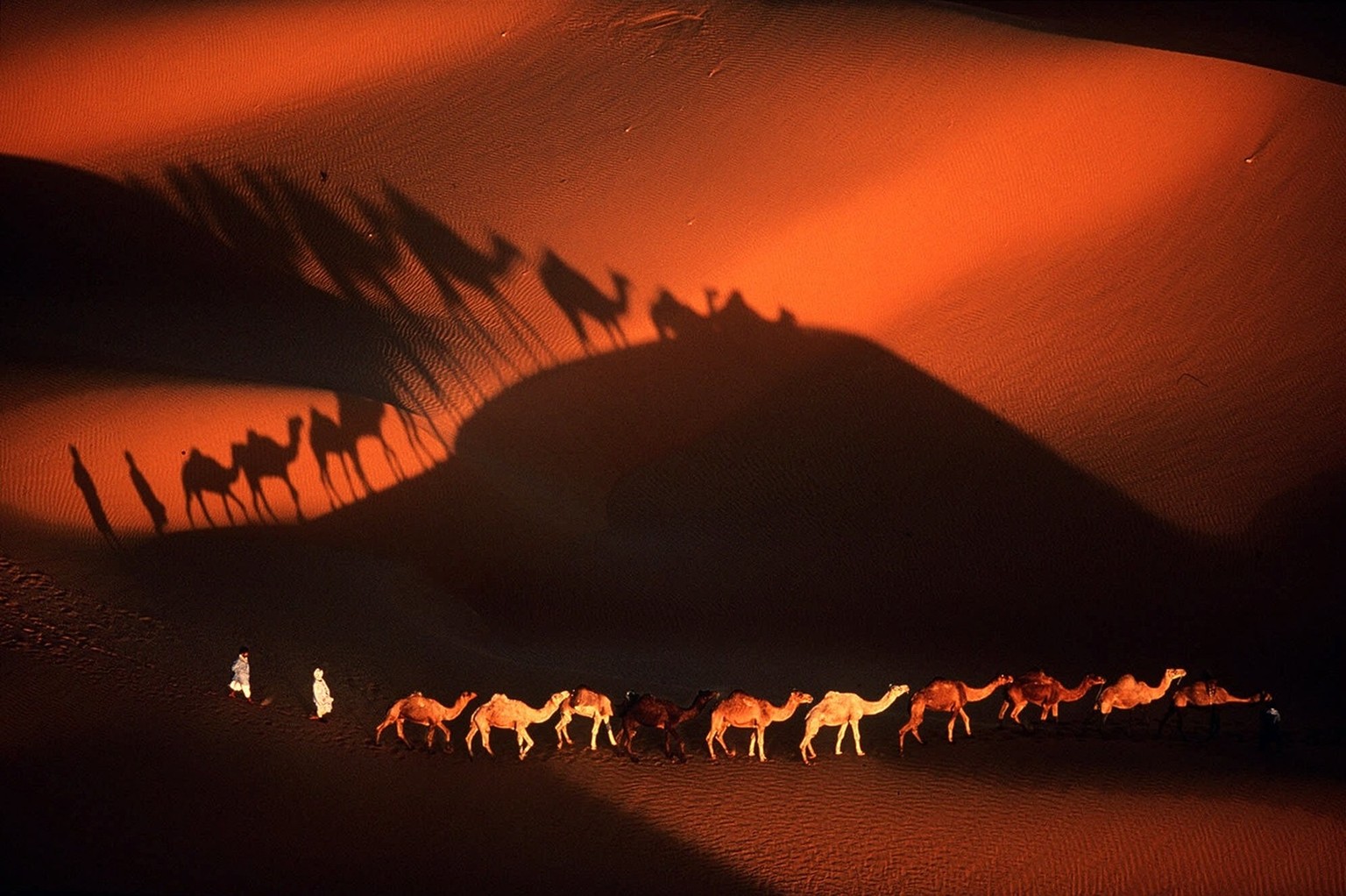 A camel caravan plods through desert sands near Nouakchott, Mauritania, in this undated aerial photo. The image is part of a new photo exhibit and coffee-table book titled &#039;Earth From Above&#039; ...