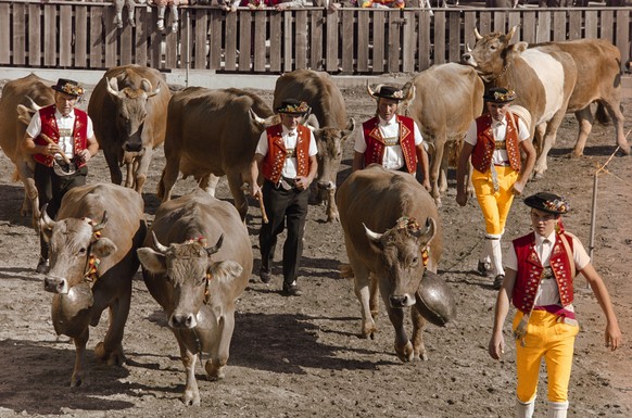 ARCHIVBILD ZUR ABLEHNUNG DER HORNKUH-INITIATIVE DURCH DIE WAK, AM DIENSTAG, 27. JUNI 2017 - Appenzeller Sennen und ihre Kuehe bei der Viehschau in der Arena der 57. Olma 1999 in St. Gallen, aufgenomme ...