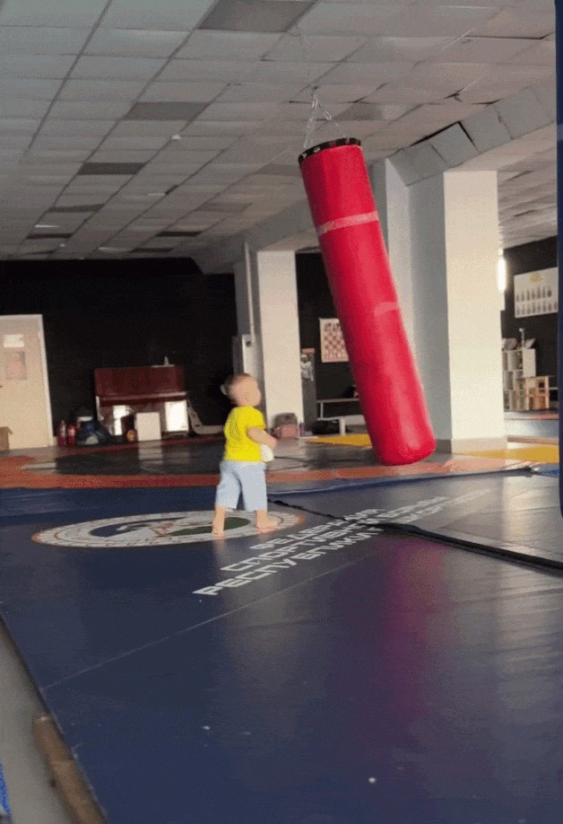 GIF animé