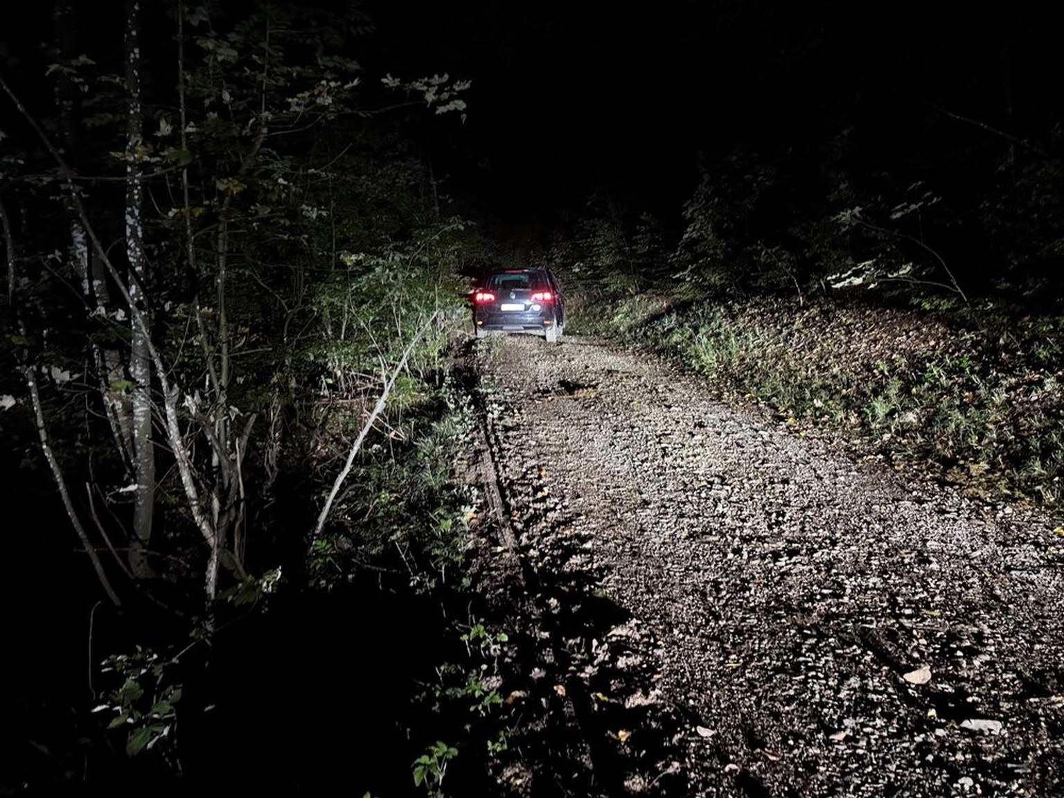 Strolchenfahrt endet im Maisfeld