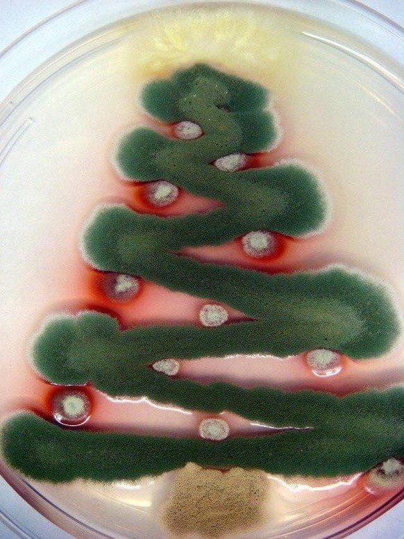 Shape Christmas tree