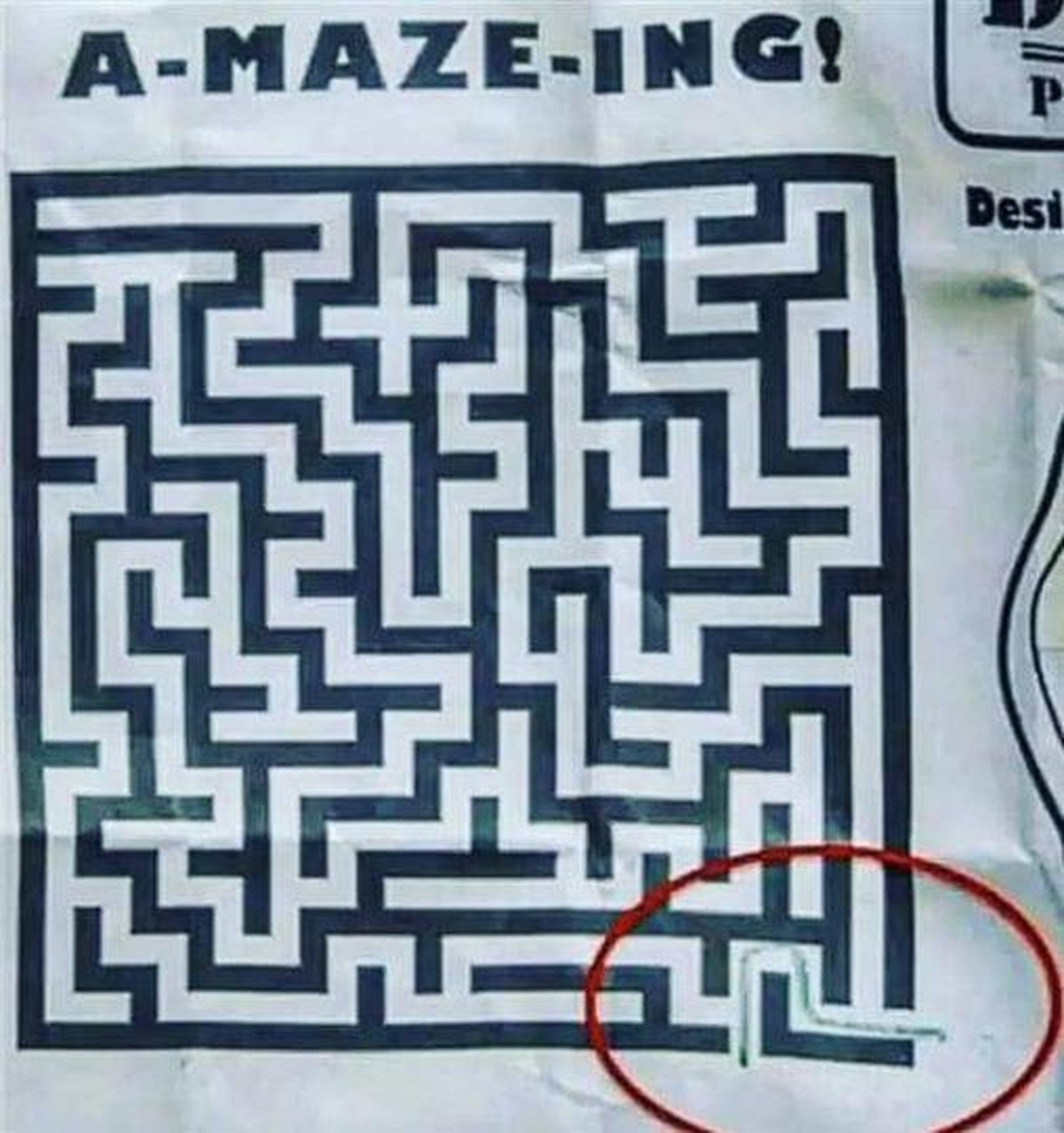 PICDUMP 398 вЂ“ der erste und jetzt schon beste* dieses Jahr! рџҐі\n