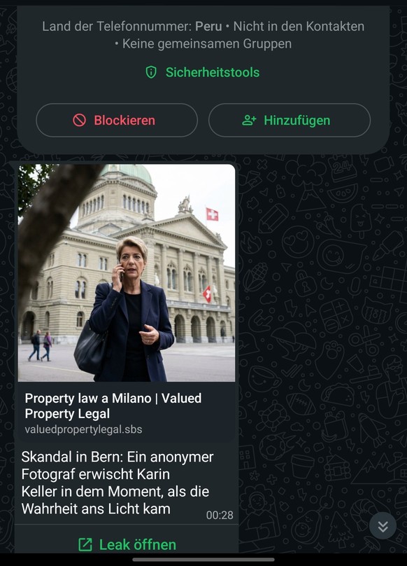 Der Link «Leak öffnen» soll zum Öffnen einer betrügerischen Webseite verleiten.