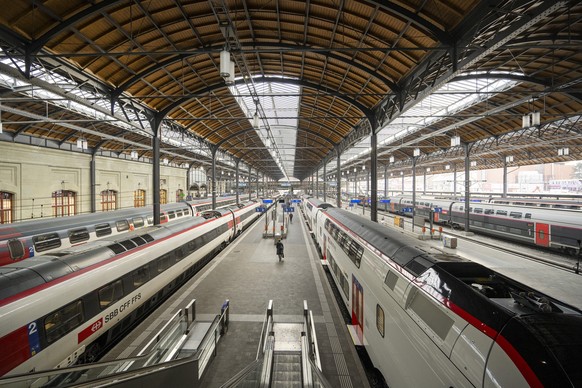 Zuege stehen im Bahnhof SBB in Basel, am 5. Dezember 2023. (KEYSTONE/Georgios Kefalas)