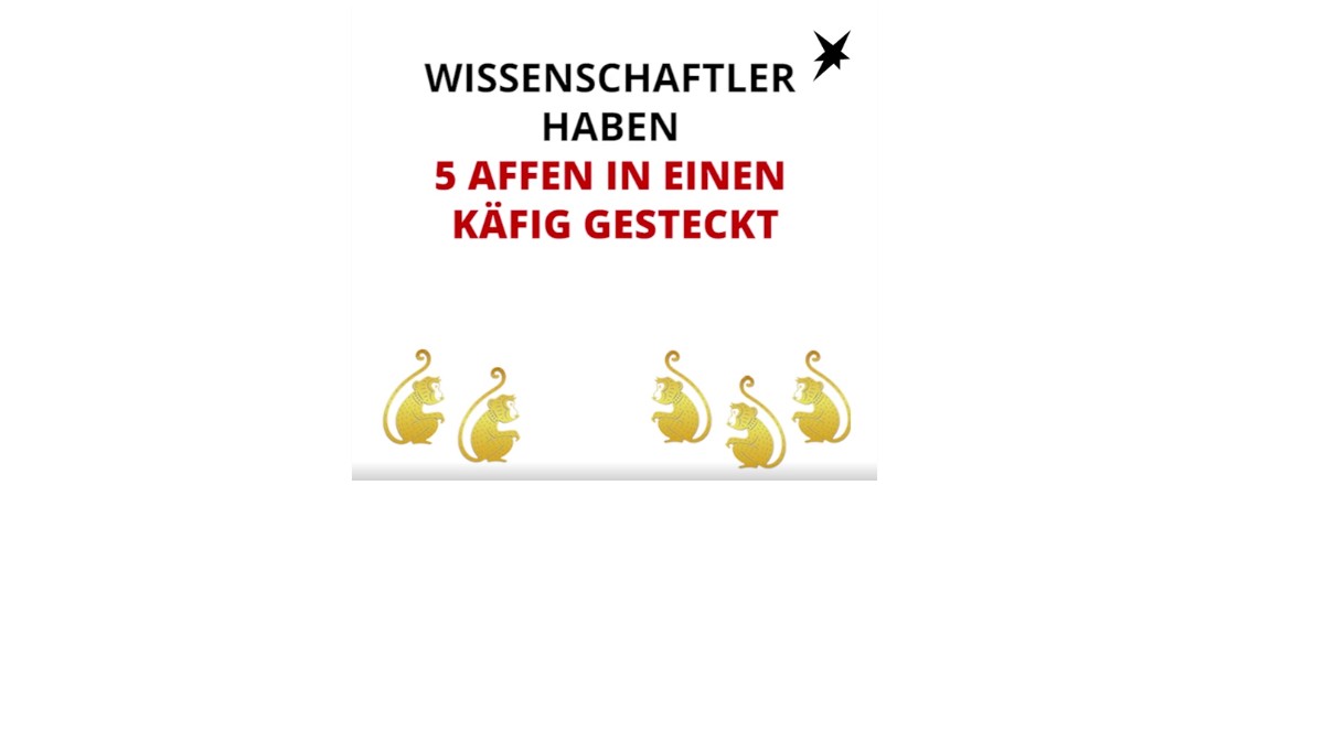 Wenn das nächste Mal jemand sagt «Das haben wir schon immer so gemacht!», dann zeig ihm dieses