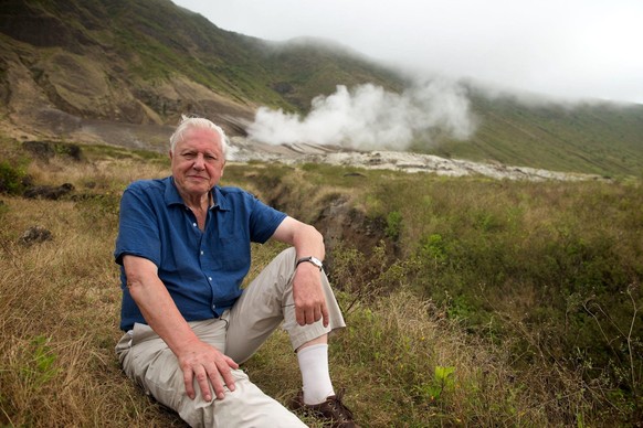 Sir David Attenborough RECORD DATE NOT STATEDDAVID ATTENBOROUGH in ATTENBOROUGH S JOURNEY (2010). Copyright: xATLANTICxPRODUCTIONSx xAlbumx alb5310607 EDITORIAL USE ONLY