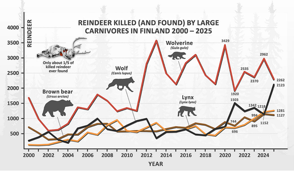 Finnland Rentier-Risse Grafik