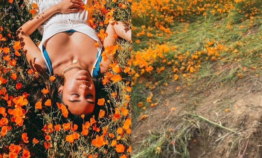 5 traurige Beispiele, wie Menschen für Likes die Natur zerstören