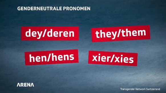 Mögliche Pronomen für non-binäre Menschen. «Dey» als Beispiel hat Ähnlichkeiten mit «er» oder «sie» («Dey isst ein Sandwich»), bei «deren» handelt es sich um ein Possessivpronomen («Peter holt deren T ...