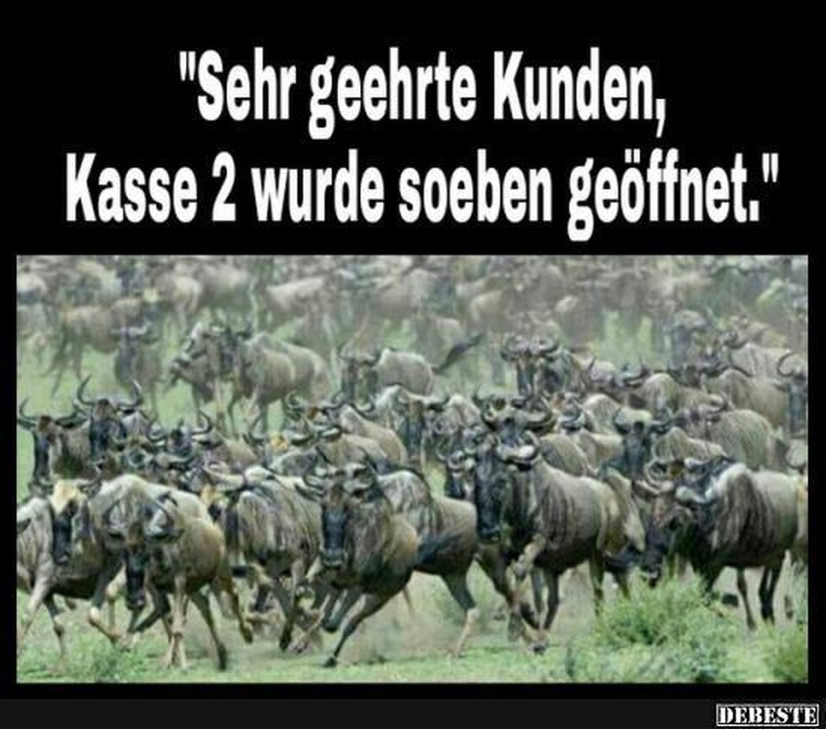 Schnell, bevor alles weg ist! PICDUMP!\nJedes mal....