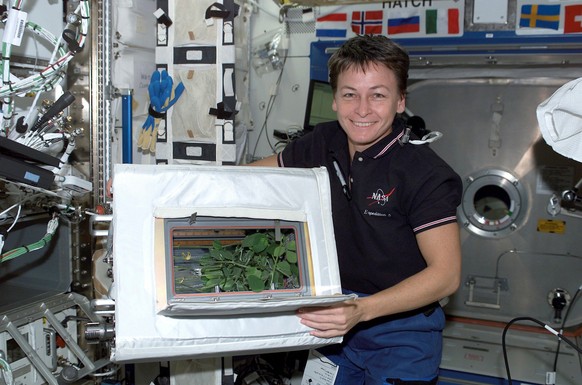 Astronaut Peggy A. Whitson, Expedition Five NASA ISS science officer, holds the Advanced Astroculture soybean plant growth experiment in the Destiny laboratory on the International Space Station (ISS) ...