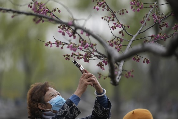 Null-Toleranz-Strategie: auch beim Blümchen-Fotografieren wird in Peking eine Maske getragen, 30. März 2022.